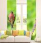 Preview: Der Stille Flächenvorhang 2teilige mit tollem Vogelmotiv - Singvogel Landhausstil
